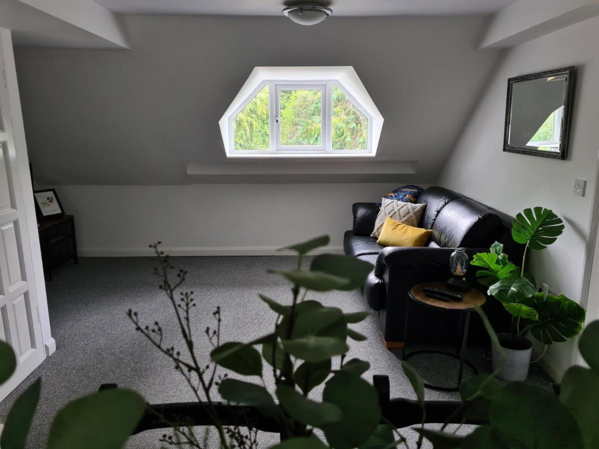 Park House Self-Contained Annex Hotell Mold Exteriör bild